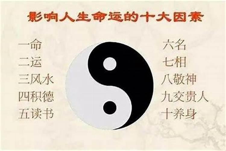 八字参数什么意思