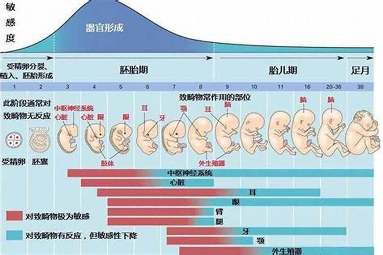 动土需要看生辰八字吗