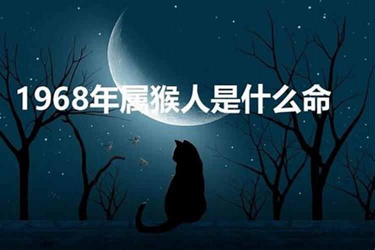 1968年三月猴的命运