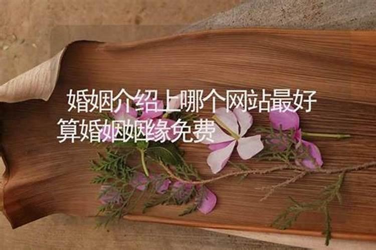 怎么看生辰八字的用神