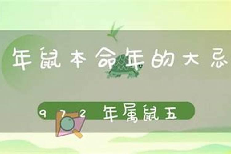 强大的八字看财运