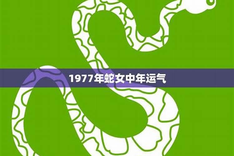 1977年7月属蛇人2021年运势