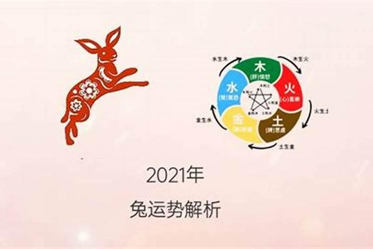 属兔人2023五月运势如何呢女生