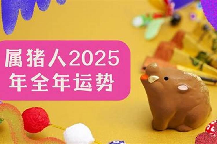 19年属猪人2021年运势