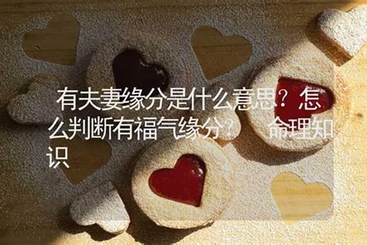 算命说夫妻缘分少是什么意思