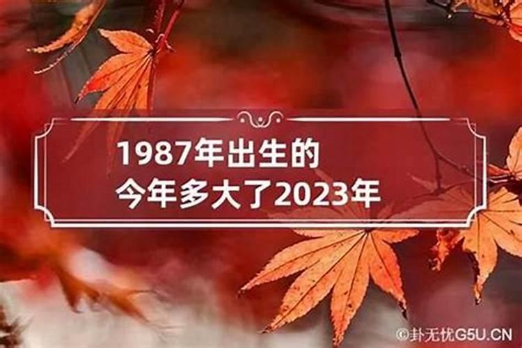 1977年出生的属什么是什么命