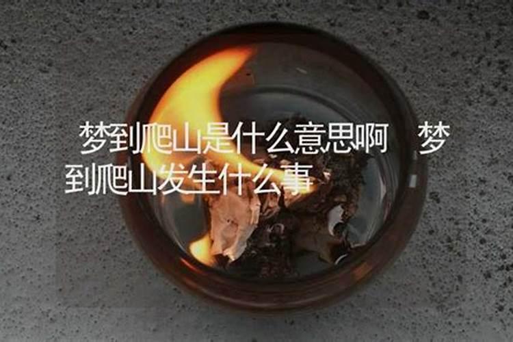 梦到去爬山是什么意思啊看到大佛了