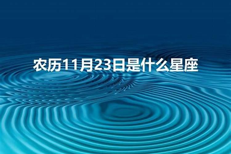 农历83年11月23日出生的人命运