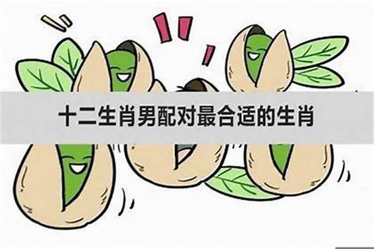 梦到儿子生病是什么意思呀