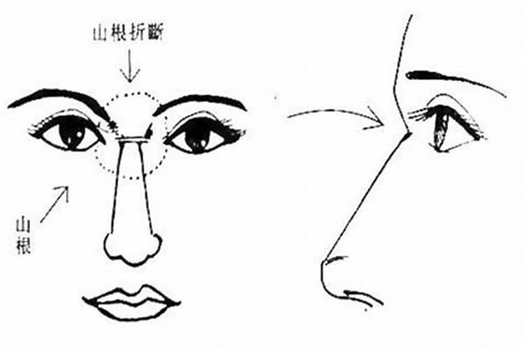 梦见大狗一直跟着我粘着我不放