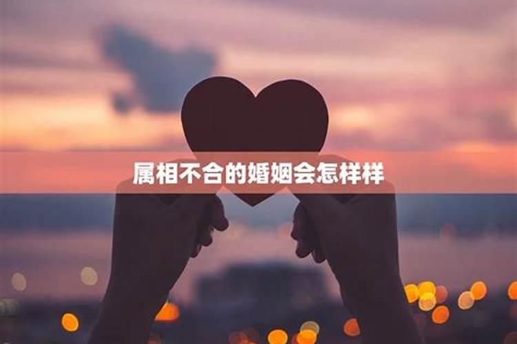 属相不合的婚姻会怎样