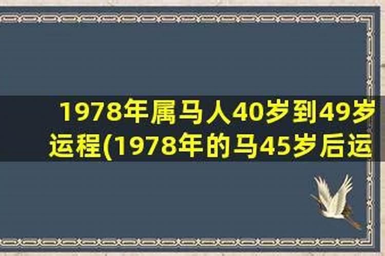 78年属马45岁后人生运势如何