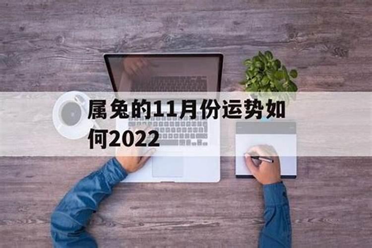 属兔人11月份运势如何2022