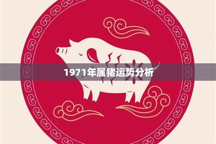 1971属猪的人今年运势怎么样2021