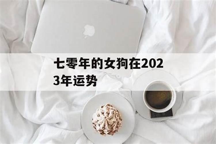 70年的女狗在2023年的运势