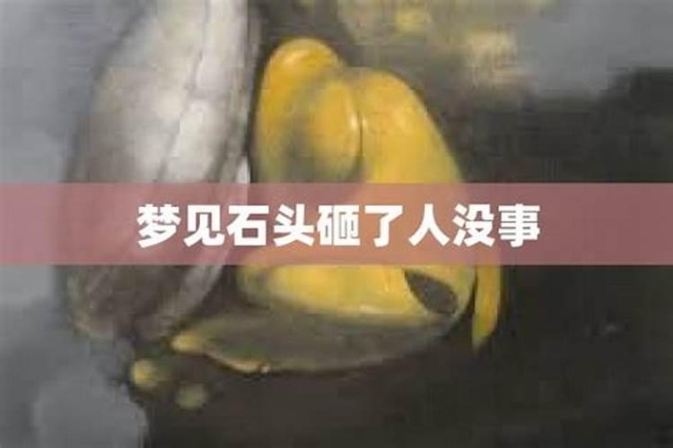 梦见别人头被石头砸伤