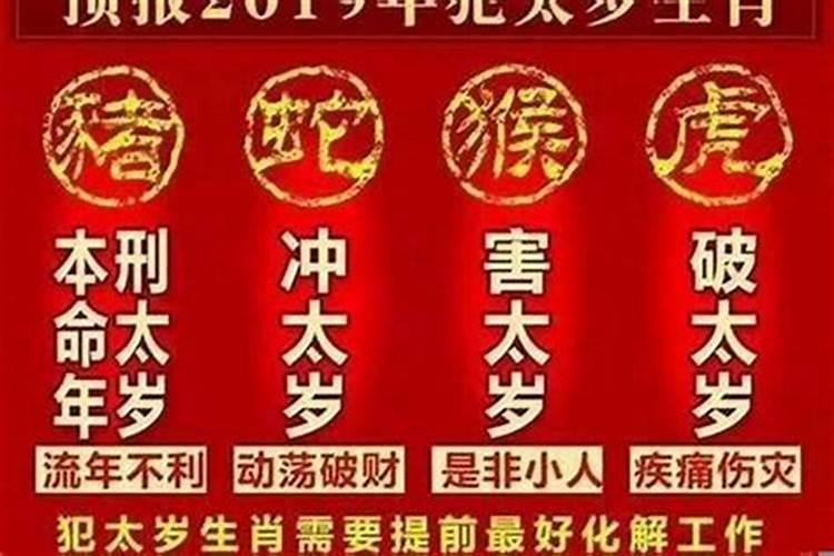 两个人都属猴,能生活在一起吗为什么