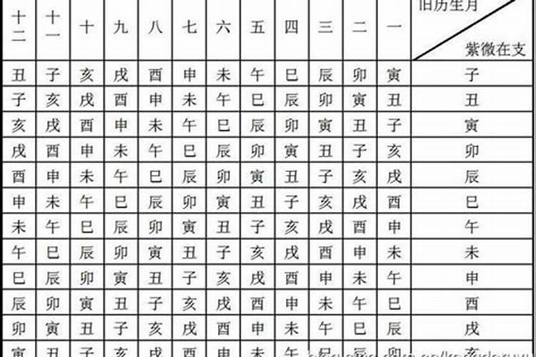 八字命宫身宫作用