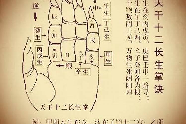 长生十二宫在八字测算中怎样应用