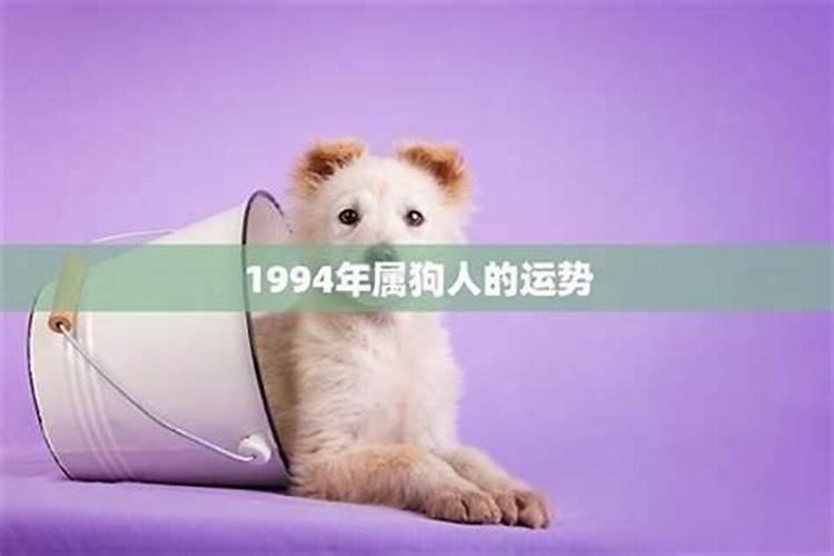 1994年狗一生运势