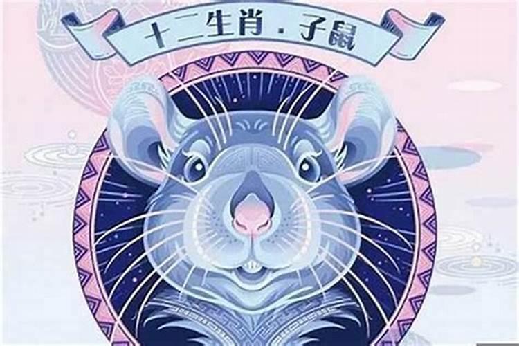 子鼠2023年运势解析