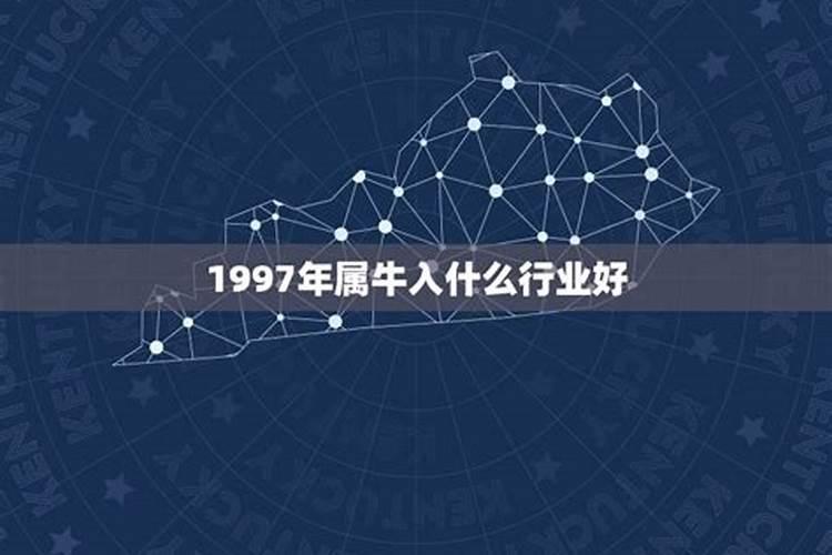 97年的牛今年工作运势