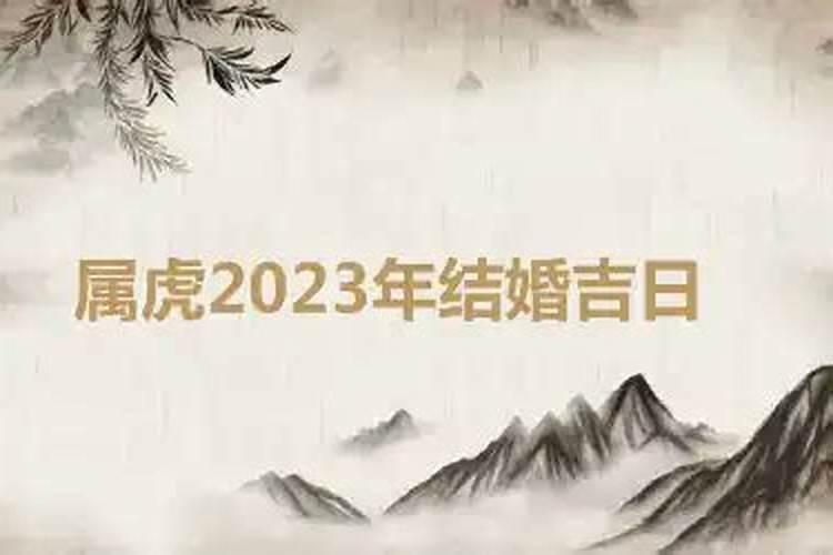 属虎2023年可以结婚吗