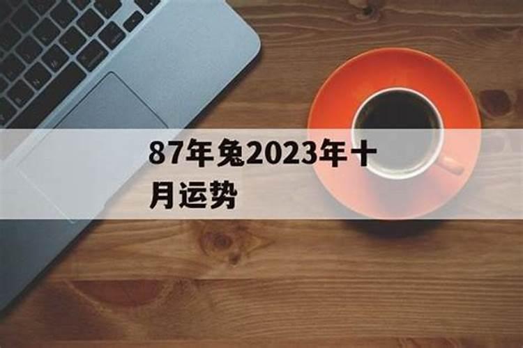 87年10月兔2023年运势