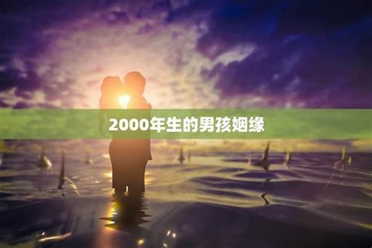 2000年出生男孩命运