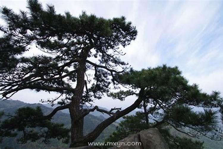 梦见大水把自己冲倒好不好