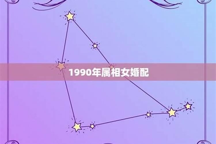 1992年合婚是什么宫