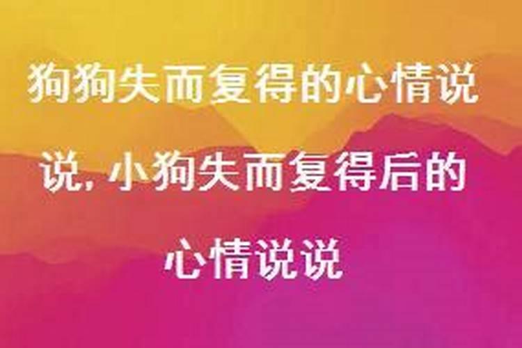 梦见自己在上公厕