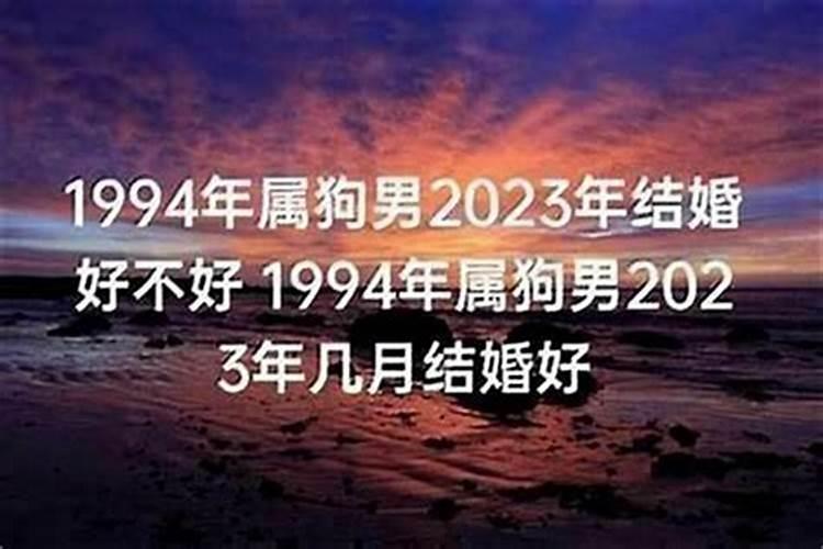 94年属狗男姻缘在2020年婚姻怎么样