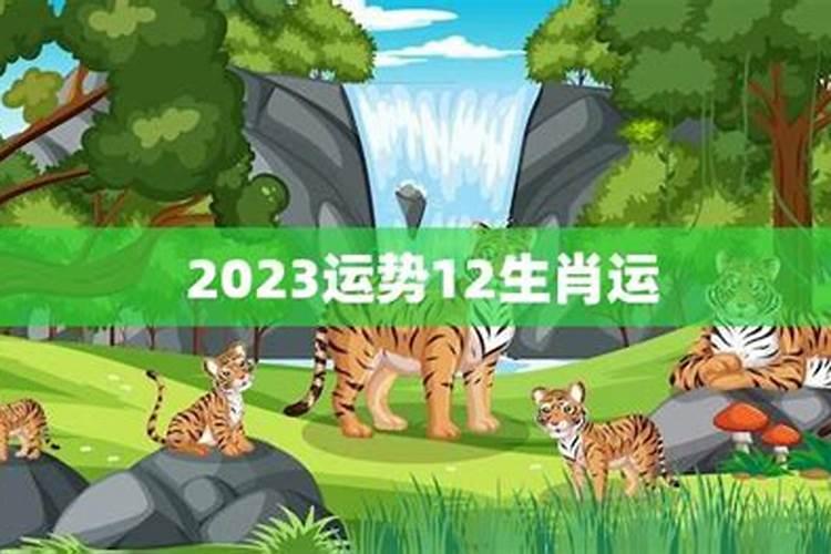 属龙虎人2023年运势