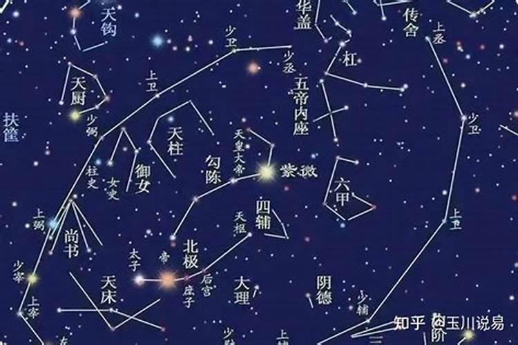 2023紫微星八字