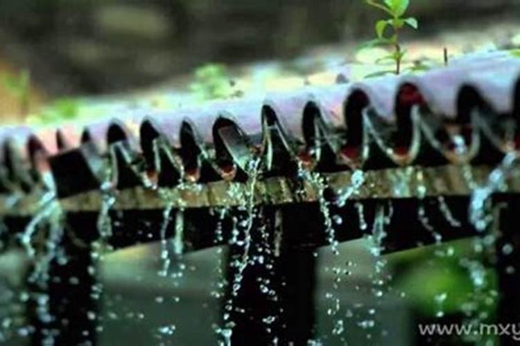 梦见老房子漏雨地上全是水