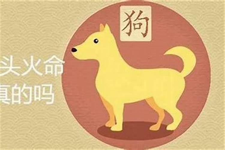 属狗的今年本命年哪一天犯太岁