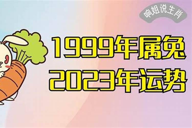 1999年属兔2023年的运势