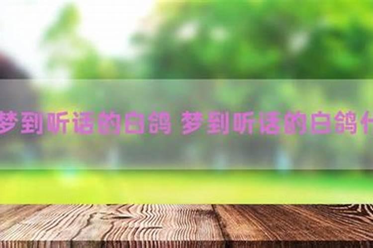 梦到买白鸽什么意思