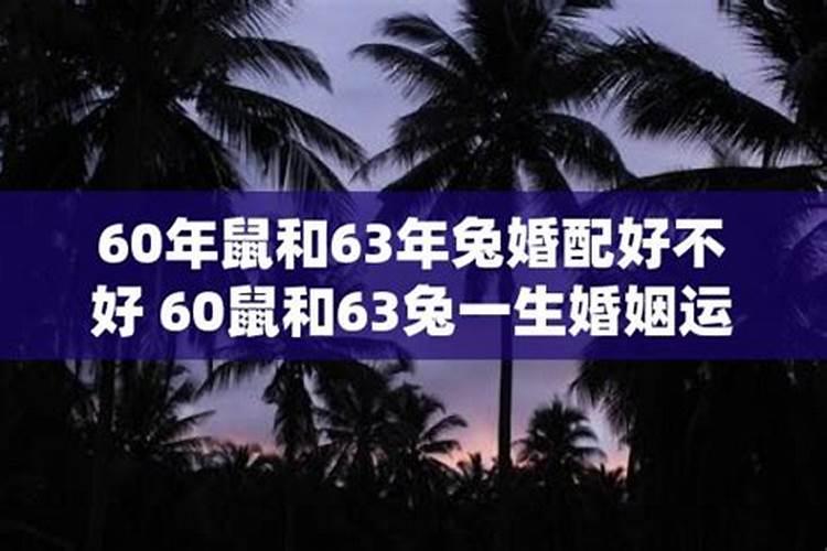 60年属与85年属合婚吗