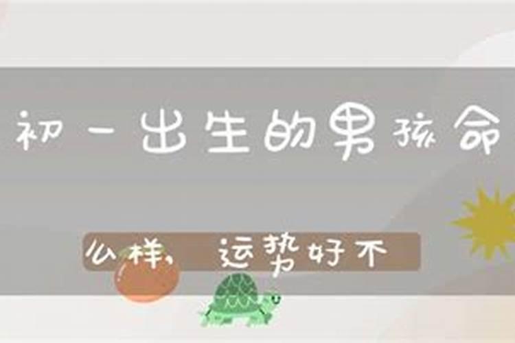 冲太岁是什么意思属马