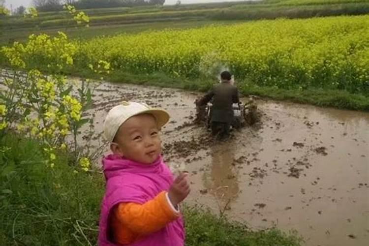 梦见回老家村里吃饭啥意思