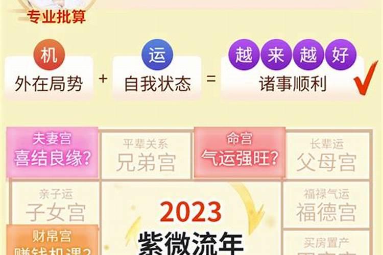 2023年紫微斗数流年命盘