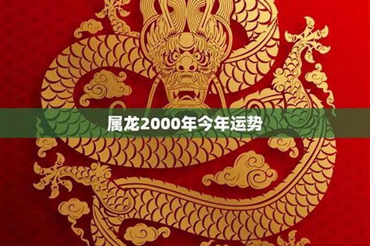 2000年属龙人2023年运势女