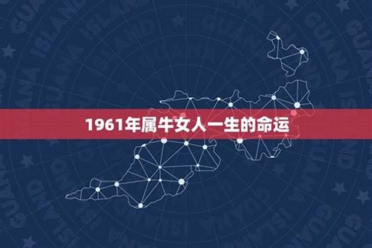 1961年属牛的女人是什么命