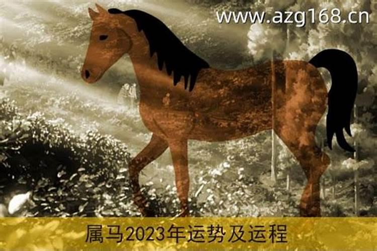 七八年属马人在2023年运势如何呢