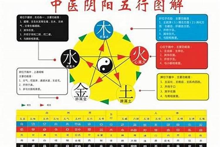 人的五行属性怎么确定出来呢