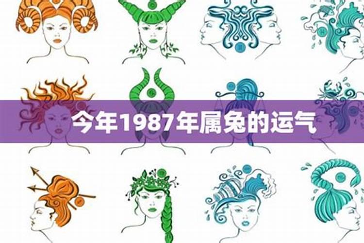 1987年出生的属兔今年运势