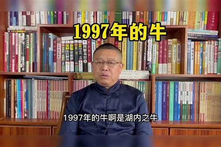 1997年出生属牛运势如何