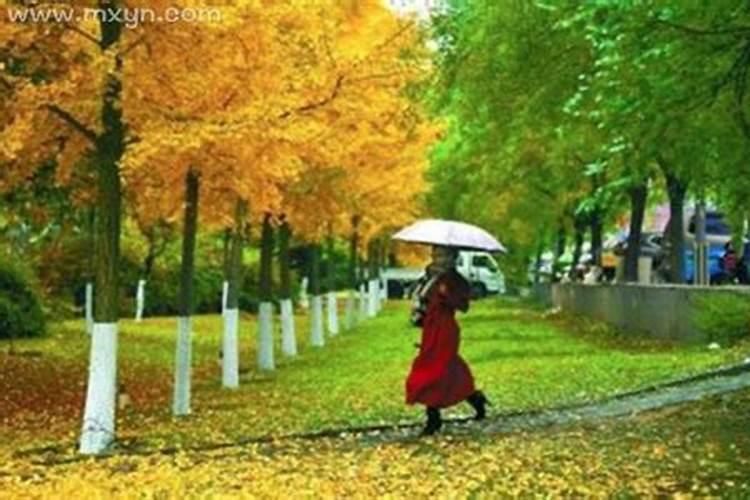 女人梦到下雨好不好